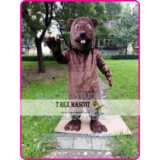 Mascot Beaver Sinocastor Castor Mascot Costume