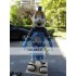 Blue Knight Mascot Spartan Costume Trojan Cosplay Cartoon Anime