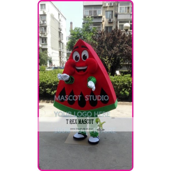 Mascot Waterlemon Mascot Costume Red Waterlemon