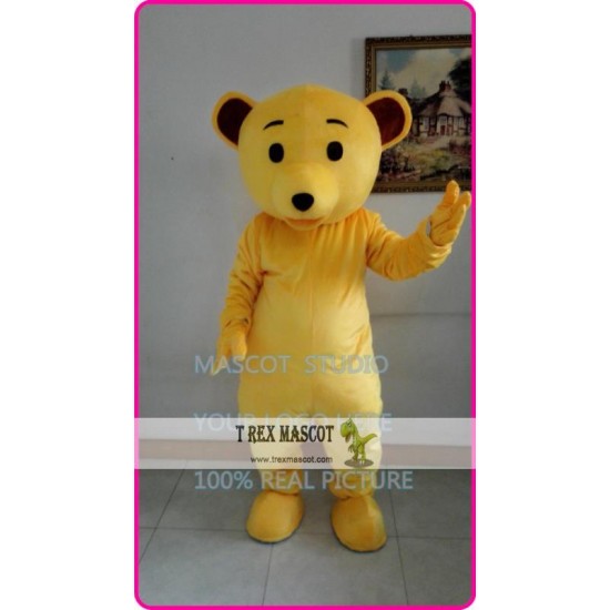 Mascot Teddy Bear Mascot Costume