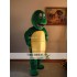 Mascot Turtle Mascot Costume