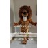 Lion Mascot Simba Leo Costume Cartoon