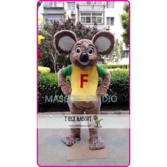 Mascot Koala Mascot Costume Bear