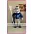 Halloween Blue Devil Mascot Costume