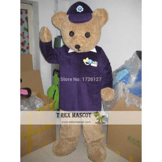 Mascot Teddy Bear Mascot Costume