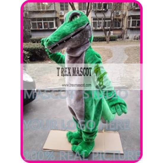 Mascot Crocodile The Aligator Gator Mascot Costume