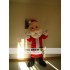 Mascot Christmas Santa Claus Mascot Costume