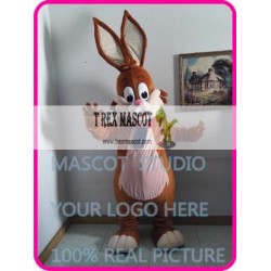 Mascot Easter Rabbit Bunny Mascot Costume