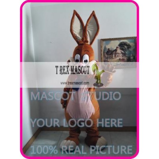 Mascot Easter Rabbit Bunny Mascot Costume