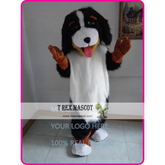 Realistic Bernese Mountain Dog Mascot Costume