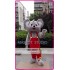 Mascot Koala Mascot Costume Coala Bear