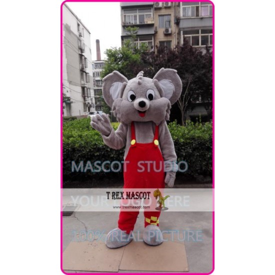 Mascot Koala Mascot Costume Coala Bear