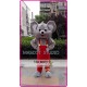 Mascot Koala Mascot Costume Coala Bear