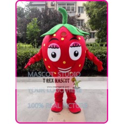 Strawberry Mascot Costume Fruit