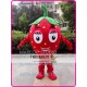 Strawberry Mascot Costume Fruit