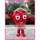 Strawberry Mascot Costume Fruit