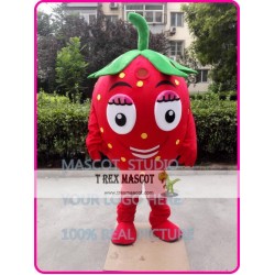 Strawberry Mascot Costume Fruit