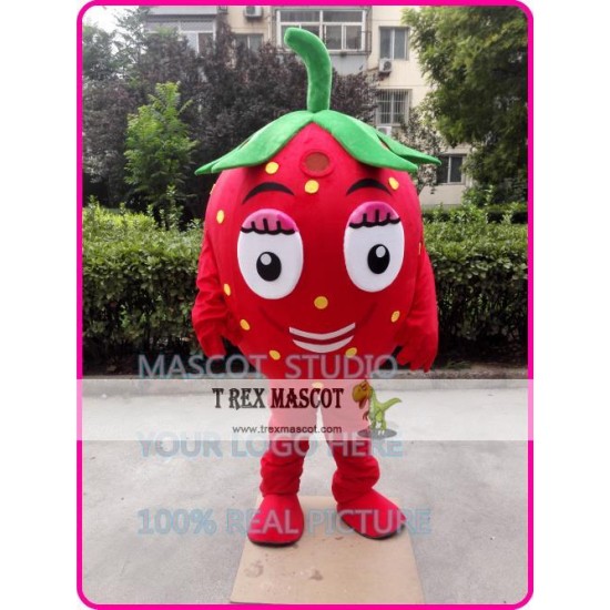 Strawberry Mascot Costume Fruit