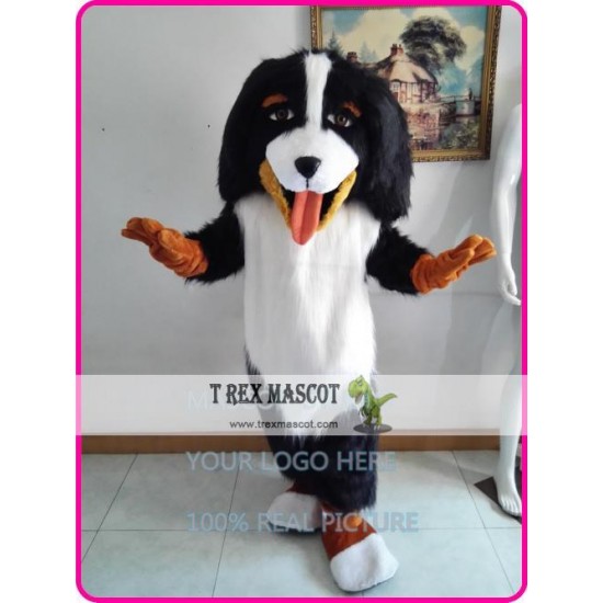 Realistic Bernese Mountain Dog Mascot Costume