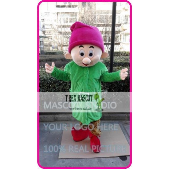 Mascot Green Dwarf Elf Mascot Costume