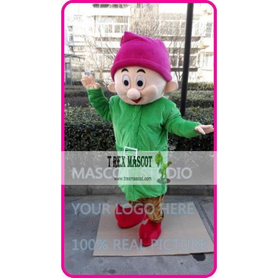 Mascot Green Dwarf Elf Mascot Costume