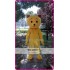 Mascot Yellow Teddy Bear Mascot Costume