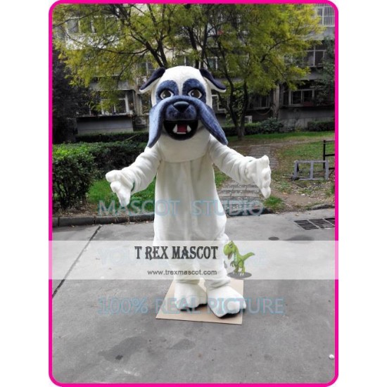 Bulldog Mascot Bull Dog Costume