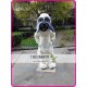 Bulldog Mascot Bull Dog Costume