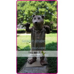 Mascot Plush Bear Mascot Costume Brown Bear