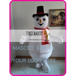 Mascot Christmas Snowman Mascot Costume Anime Cosplay