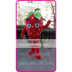 Mascot Strawberry Mascot Fruit Mascot Costume