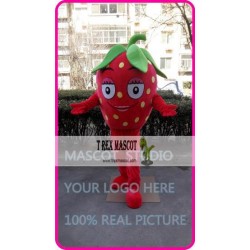 Mascot Strawberry Mascot Fruit Mascot Costume