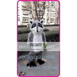 Mascot Raccoon Mascot Costume Cosplay