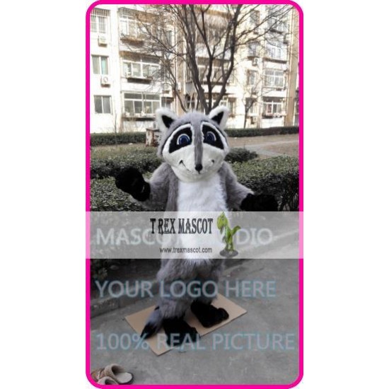 Mascot Raccoon Mascot Costume Cosplay