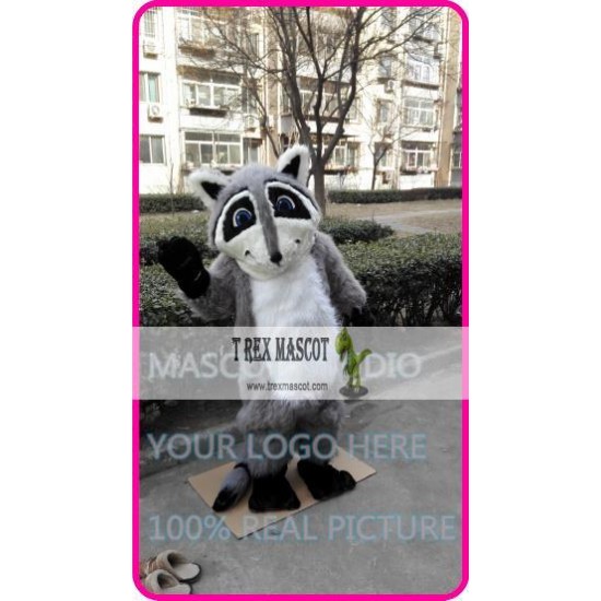 Mascot Raccoon Mascot Costume Cosplay