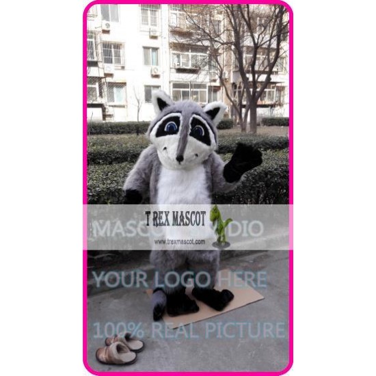 Mascot Raccoon Mascot Costume Cosplay