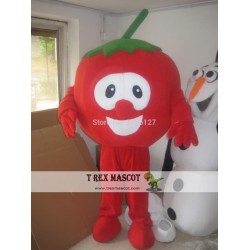 Mascot Tomato Mascot Vegetable Costume