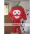 Mascot Tomato Mascot Vegetable Costume