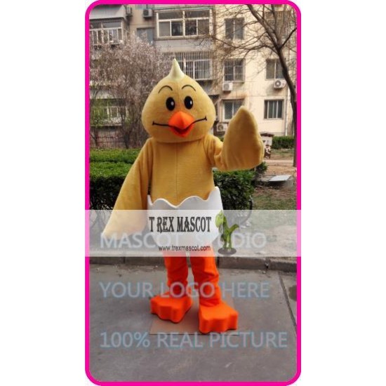 Mascot Egg Chick Mascot Costume Cartoon 