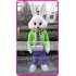 Mascot Mr Easter Bunny Mascot Costume Cartoon Rabbit Cosplay