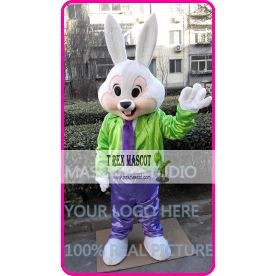 Mascot Mr Easter Bunny Mascot Costume Cartoon Rabbit Cosplay