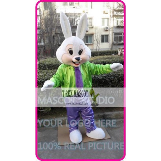 Mascot Mr Easter Bunny Mascot Costume Cartoon Rabbit Cosplay