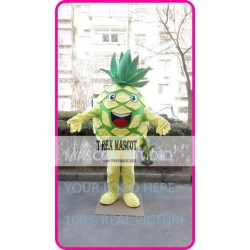 Mascot Pineapple Mascot Costume