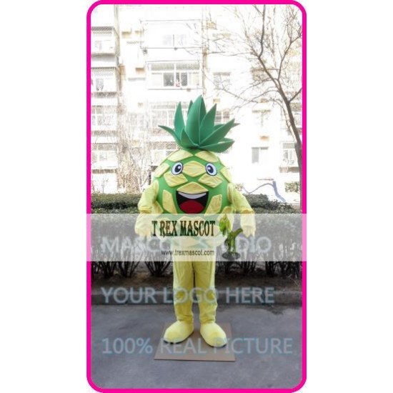 Mascot Pineapple Mascot Costume