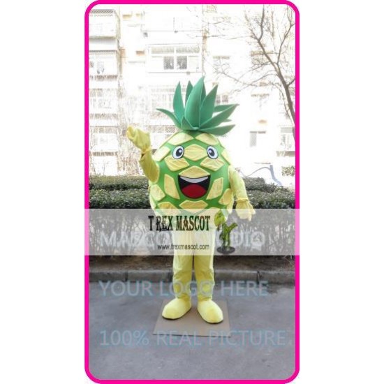 Mascot Pineapple Mascot Costume