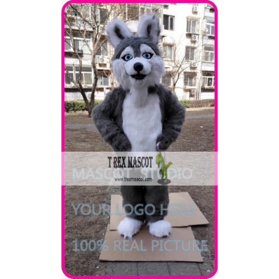 Mascot Plush Huskey Dog Mascot Costume