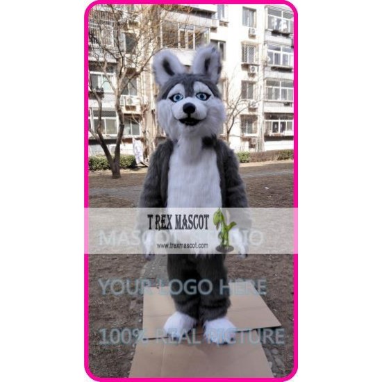 Mascot Plush Huskey Dog Mascot Costume