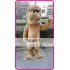 Mascot Plush Glass Dog Mascot Costume