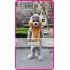 Mascot Grey Squirrel Mascot Costume Cartoon 