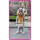 Mascot Grey Squirrel Mascot Costume Cartoon 